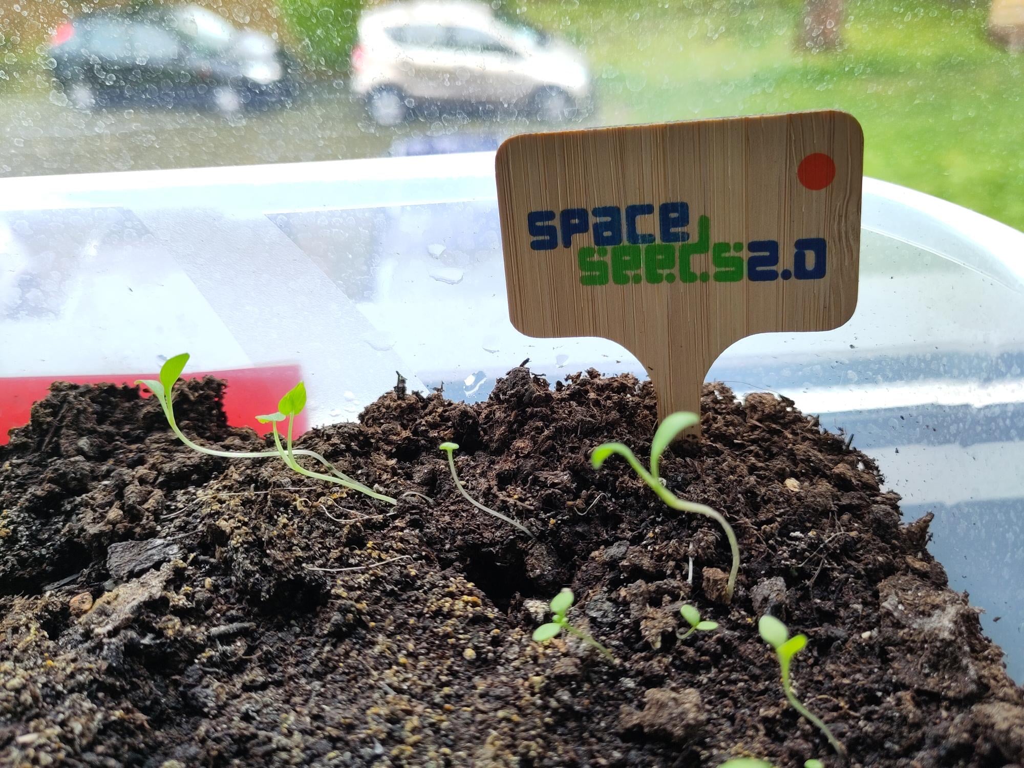 Space Seeds 2.0 Wildblumensamen aus dem All 